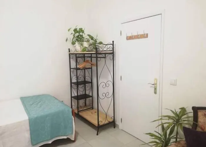Home & Flower 3